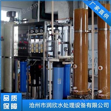 锅炉离子交换器 固定床离子交换器 定冷水离子交换器