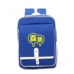 学生包定做书包 双肩背包 设计定制 上海方振箱包礼品