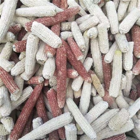 好运来  玉米芯食用菌种植玉米芯 工件表面油污清理用玉米芯厂家价格