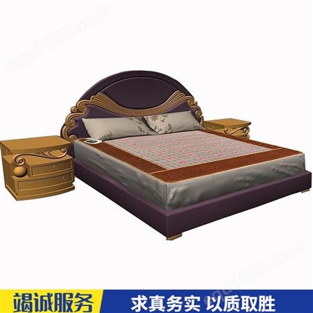 供应家用光子床垫 负离子床垫 多功能光子床垫