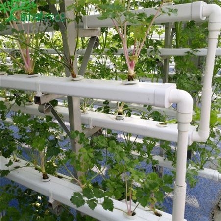 时泽农业 水培方管错层立体栽培 PVC生菜种植管 蔬菜水培设备