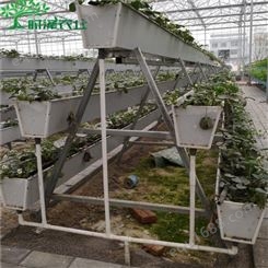草莓字架立体栽培设备 无土栽培槽种植槽 多层基质栽培系统