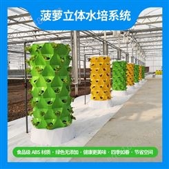 时泽农业 菠萝无土栽培设备 油菜立体多层水培槽