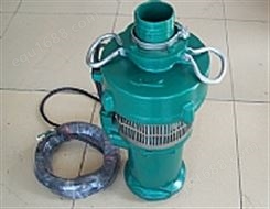 QS型充水式潜水电泵