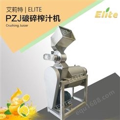 全自动多功能LZ螺旋榨汁机 大型工业不锈钢水果榨汁机 艾莉特
