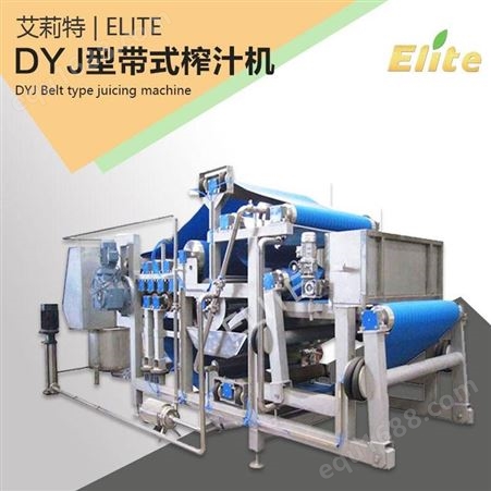 全自动大型工业榨汁机 多功能水果榨汁机 DYJ型带式不锈钢榨汁机 艾莉特