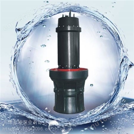 唐山便携式轴流泵 大流量潜水泵 大流量便携式轴流泵