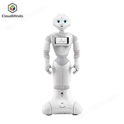 北京本地智能机器人租赁天租智能讲解机器人