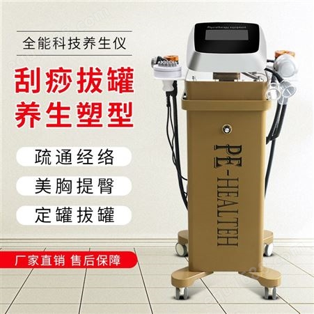 广州震澳科技养生一体机 养生仪价格批发厂家 养生仪器一件代发