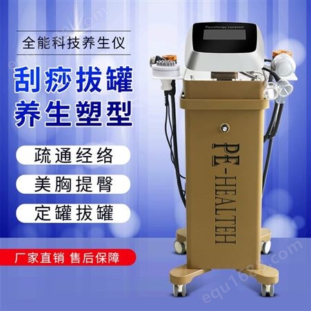 广州震澳科技养生一体机 养生仪价格批发厂家 养生仪器一件代发