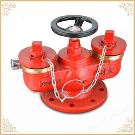 颖龙消防器材-SQD系列多用式消防水泵接合器-地下式