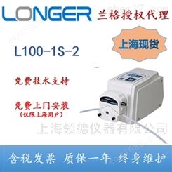 L100-1S-2兰格流量型蠕动泵