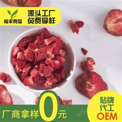 质善天然优质食品级散装批发烘焙代餐FD冻干草莓粒