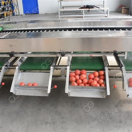 杰尔古格 橙子分级机 全自动选果分选设备生产线