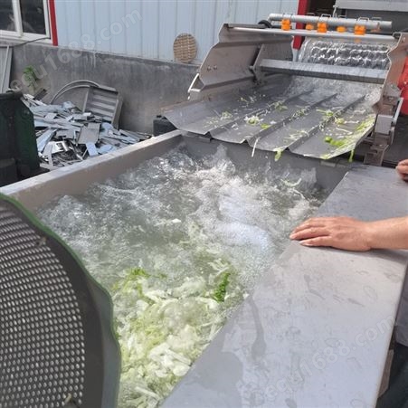 涡流清洗机 佳昊机械全自动洗菜机 果蔬清洗设备