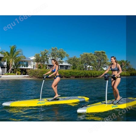 水上动力冲浪板滑板 动力滑水板 站立式划桨板站立划水板