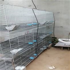 鸡笼兔笼生产厂家 母子兔笼 子母兔笼有用