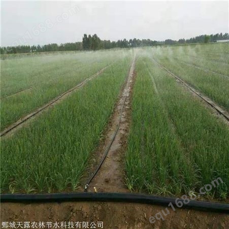 山东烟台灌溉设备 农业蔬菜微喷带