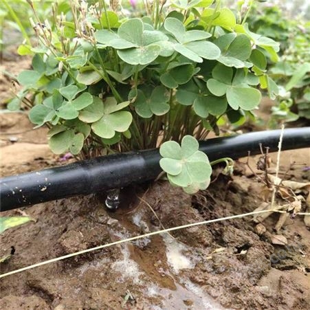 金色田园 农业灌溉设备PE管