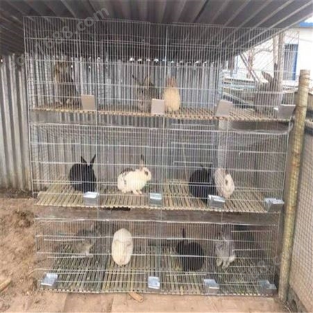 兔笼的制作 欧式兔笼 内江子母兔笼