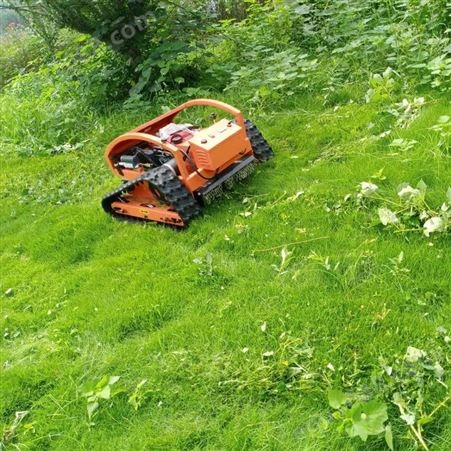汽油式割草机 小型家用除草机 四冲程割草机 草坪割草机