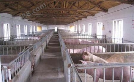 养猪场废水处理  养猪场污水处理设备  养殖废水处理设备