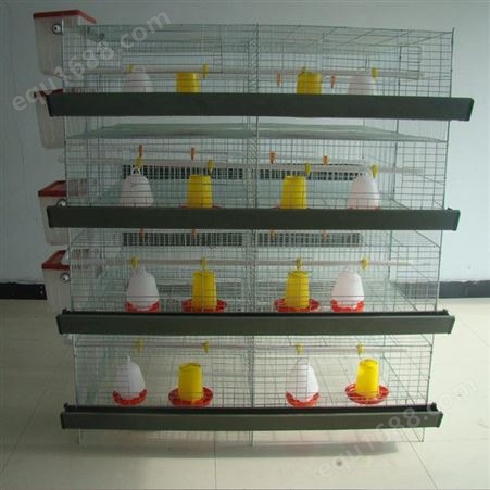 广旺鸡笼批发 蛋鸡笼设备 肉鸡养殖笼 加工销售