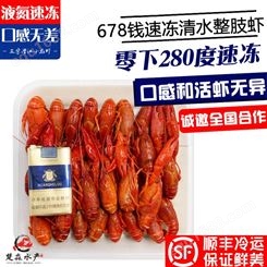 潜江液氮速冻小龙虾/鲜活清水小龙虾678钱规格21年8月27日售价30元起