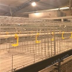 厂家供应 新型养殖兔子笼 商品兔笼报价 三层四层兔笼批发