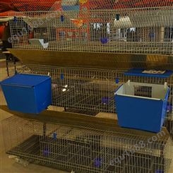 商家厂家 兔笼子 免清粪兔笼 加粗养殖笼子种兔笼 兔子养殖笼
