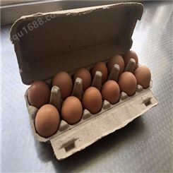 12枚鸡蛋保护托-卓尔纸塑-出售热压纸托-环保可降解