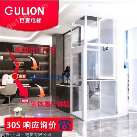 小型家用电梯 Gulion/巨菱三层家用载人电梯 无机房0基坑安装