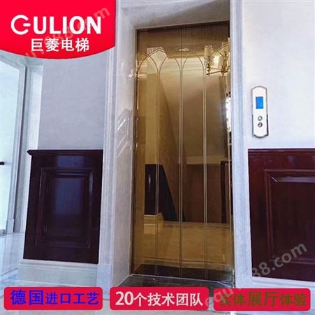 家用微型电梯价格 可乘1-2人别墅家用小电梯Gulion/巨菱