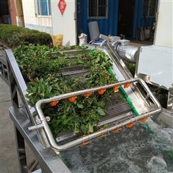 供应山野菜清洗机