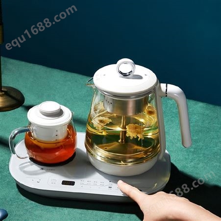 艾优 Wildwood多功能电热茶壶煮茶器F9