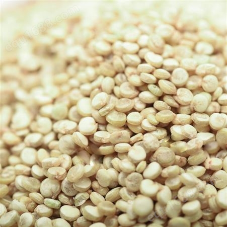 白藜麦袋装 五谷杂粮有机红白黑三色藜麦营养米现货批发