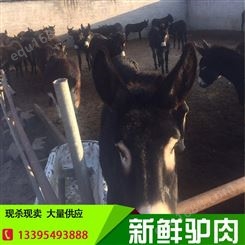 杭州带皮不带皮驴肉供应厂家 新鲜冷冻驴肉东肃