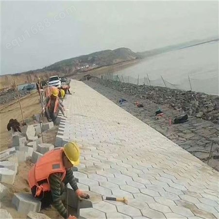 济宁嘉元工贸水利护坡砖大量现货多种规格