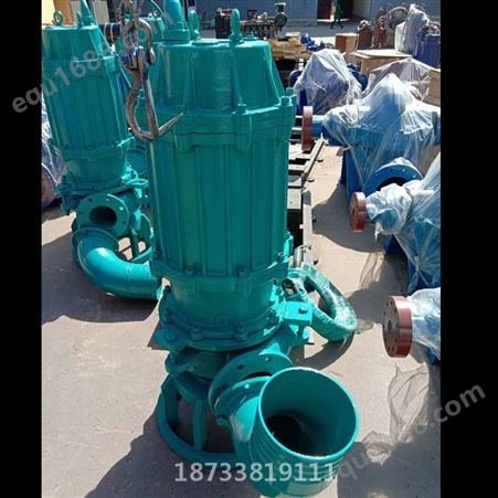 国石泵业 泥浆泵 NSQ潜水渣浆泵加工厂家 多地销售