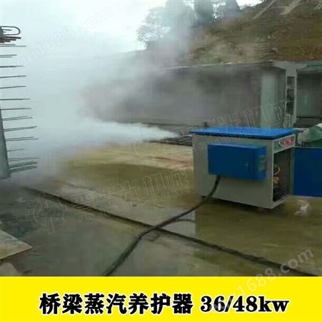 广西柳州燃油桥梁蒸汽养护器柴油蒸养设备
