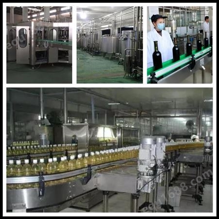 调配型黄桃饮料加工生产线 整套饮料生产设备厂家  中意隆ZYL8000