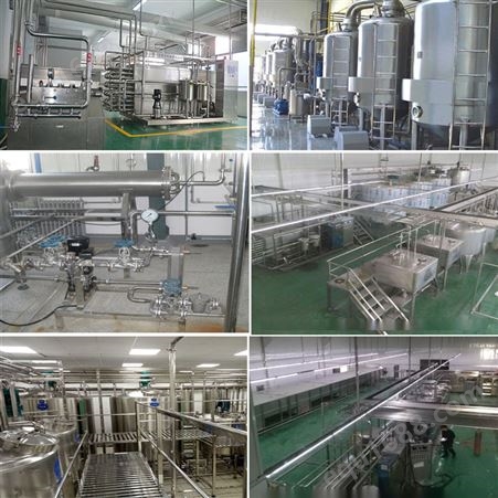 ZYL供应 自动化植物蛋白饮料设备 饮料生产线设备 植物饮料灌装机