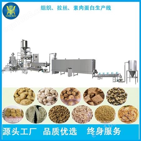 拉丝蛋白成型设备 大型豆制品生产线 组织蛋白挤压机 源头工厂