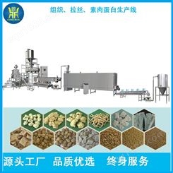 组织蛋白豆制品加工设备 鼎润机械 膨化拉丝蛋白生产机器 实体工厂