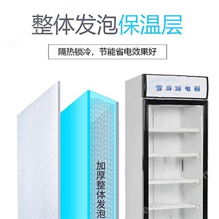 白雪SD-410商用立式冷柜 冷藏陈列柜 节能展示柜自动调温