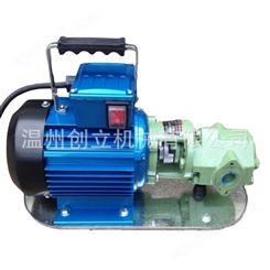 现货型齿轮输油泵便携式微型齿轮泵质量保证量大优惠
