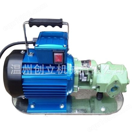 现货型齿轮输油泵便携式微型齿轮泵质量保证量大优惠