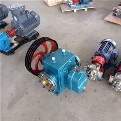 高温罗茨泵 大流量柴油泵 皮带轮传动罗茨泵 厂家供应