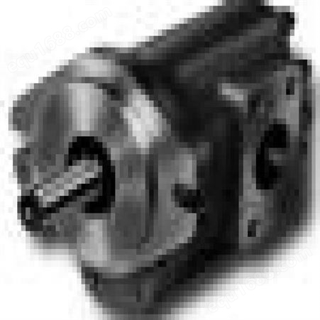 厂家批发原天津特精液压泵G5-30-6-1E13S-20-R双联泵双联齿轮泵（现货）