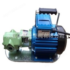 系列齿轮油泵手提式齿轮式输油泵齿轮泵